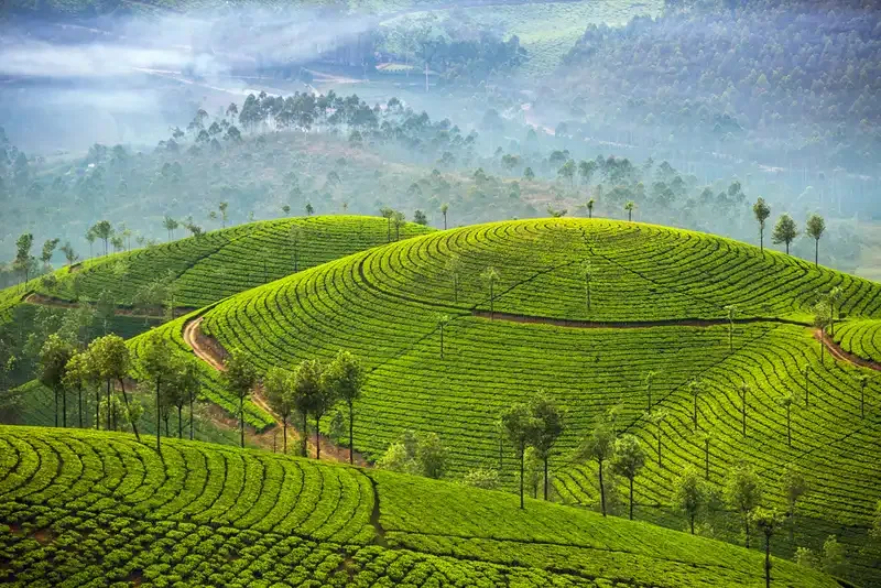 Kerala Tour Packages
