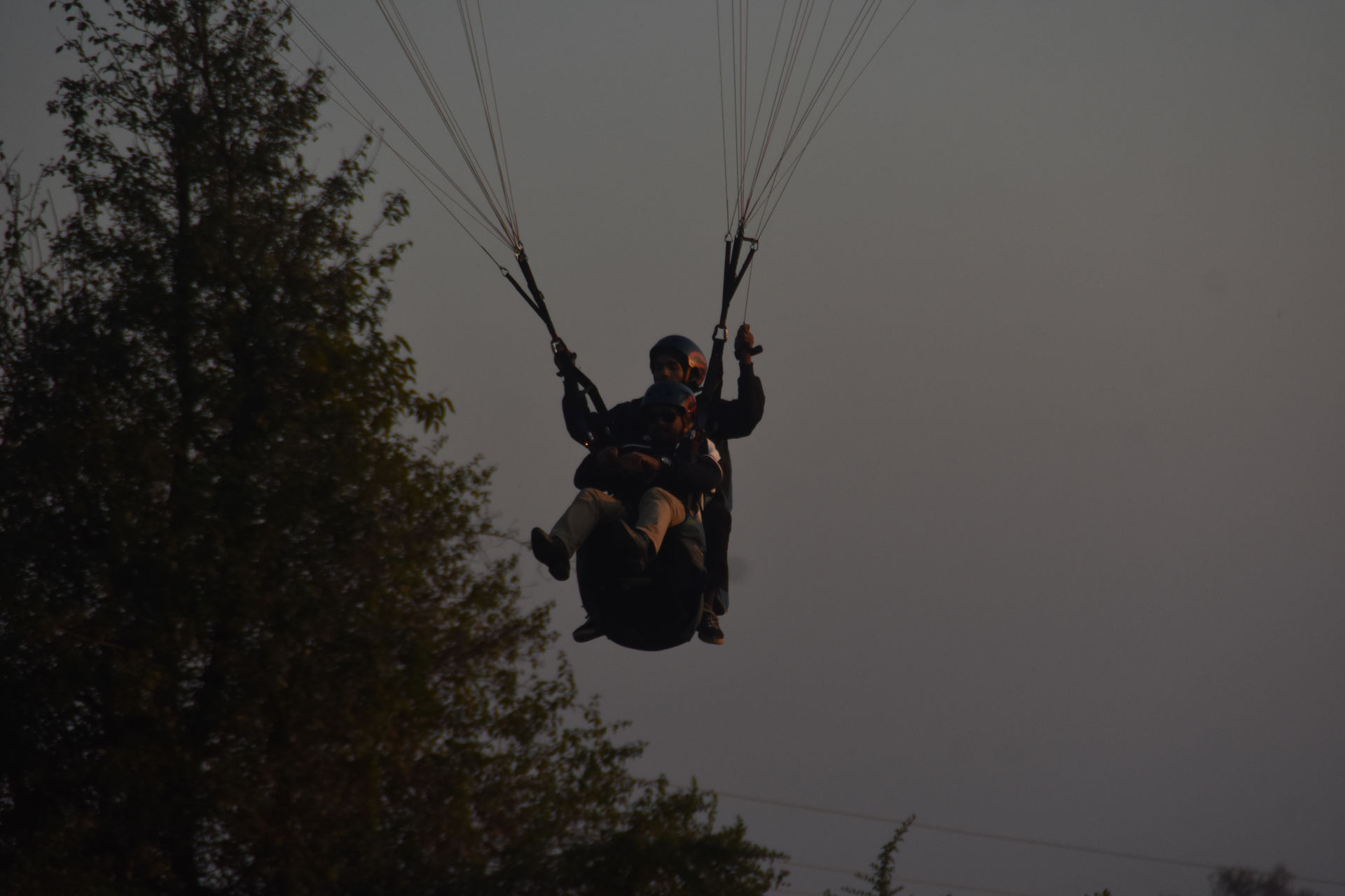 Paragliding Bir Billing