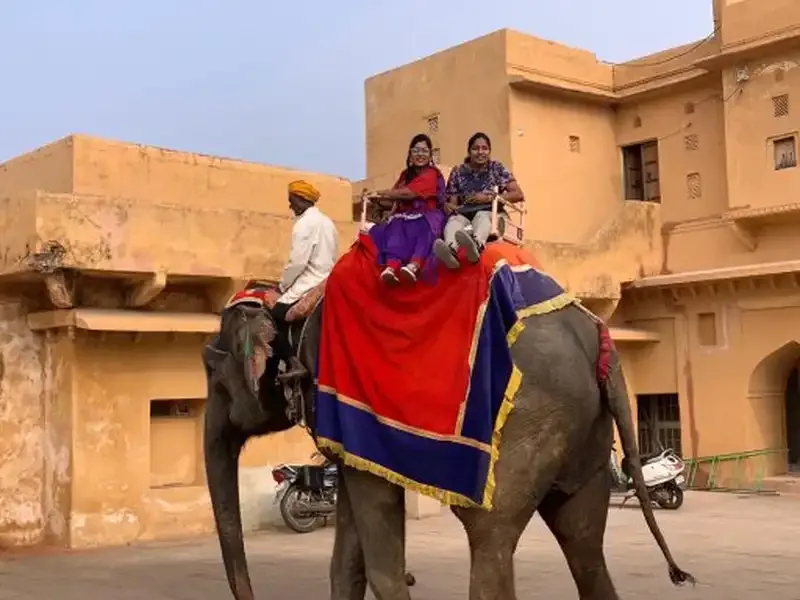 Elephant Ride, Jaipur