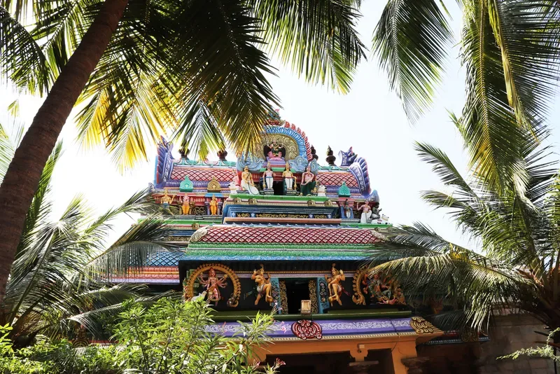 Thirunallar and Thirunageswaram