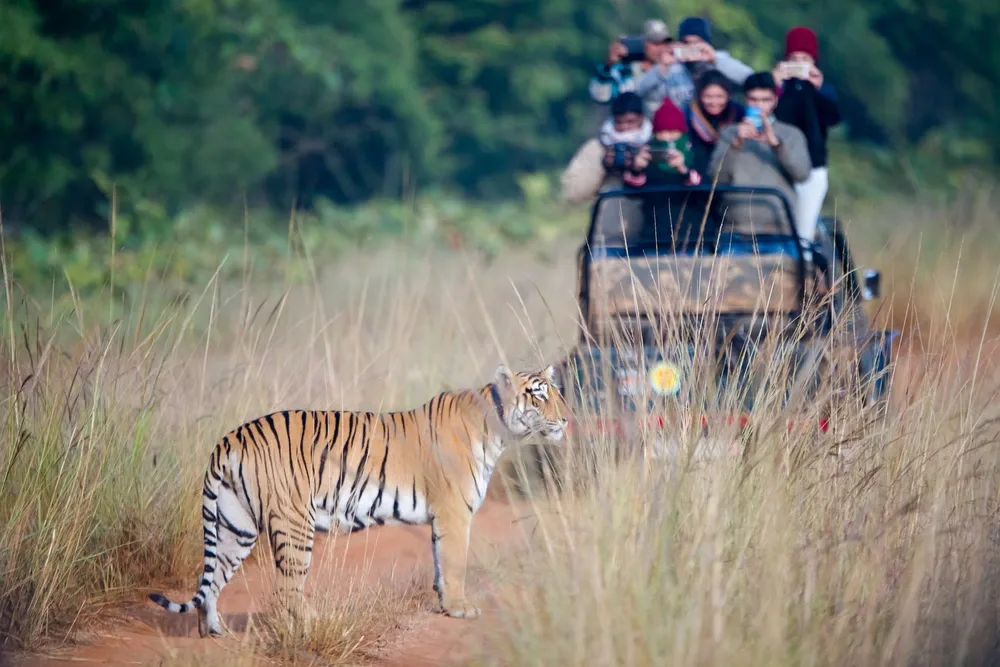 Royal Golden Triangle with Ranthambore